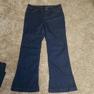 LIMITED High Waist Flare jeans
